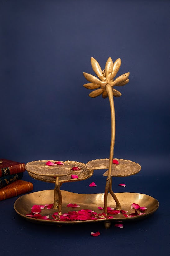 Lotus Pond