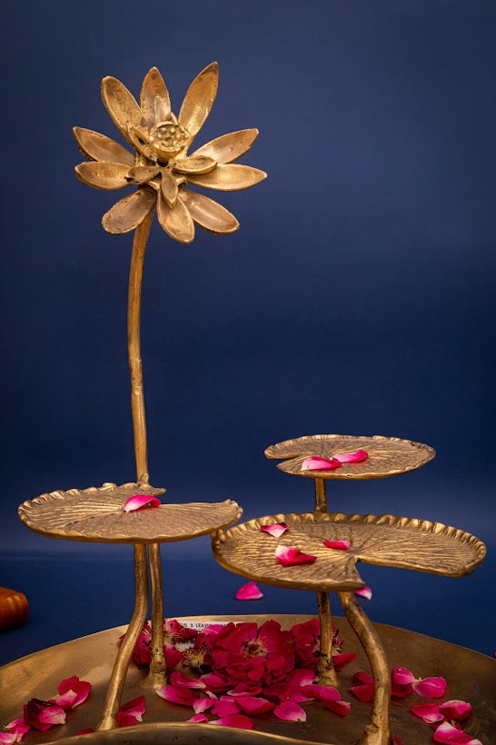 Lotus Pond