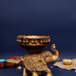 Elephant Urli